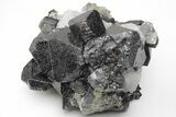 Octahedral Magnetite Crystals In Calcite - Russia #209388-1